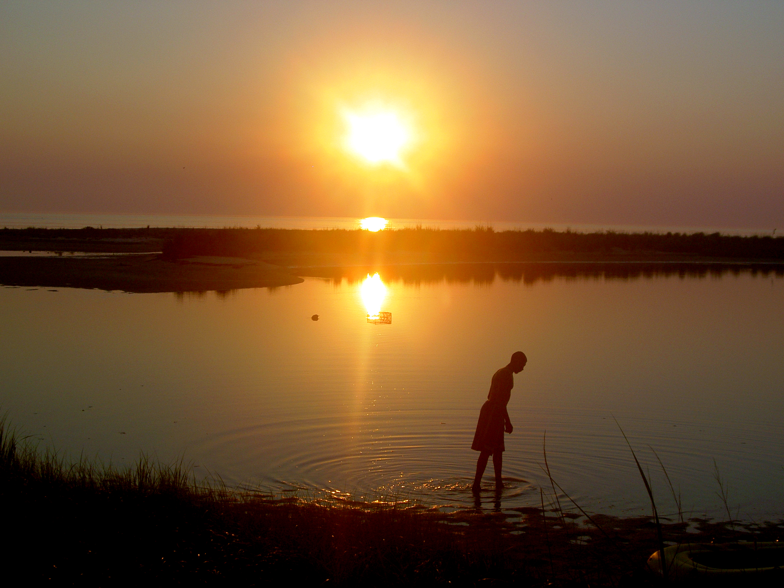 Paddy Field Sunrise