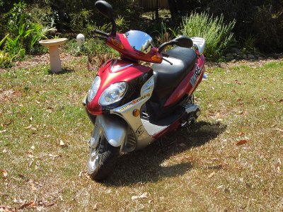 Foxy Lady - Front View